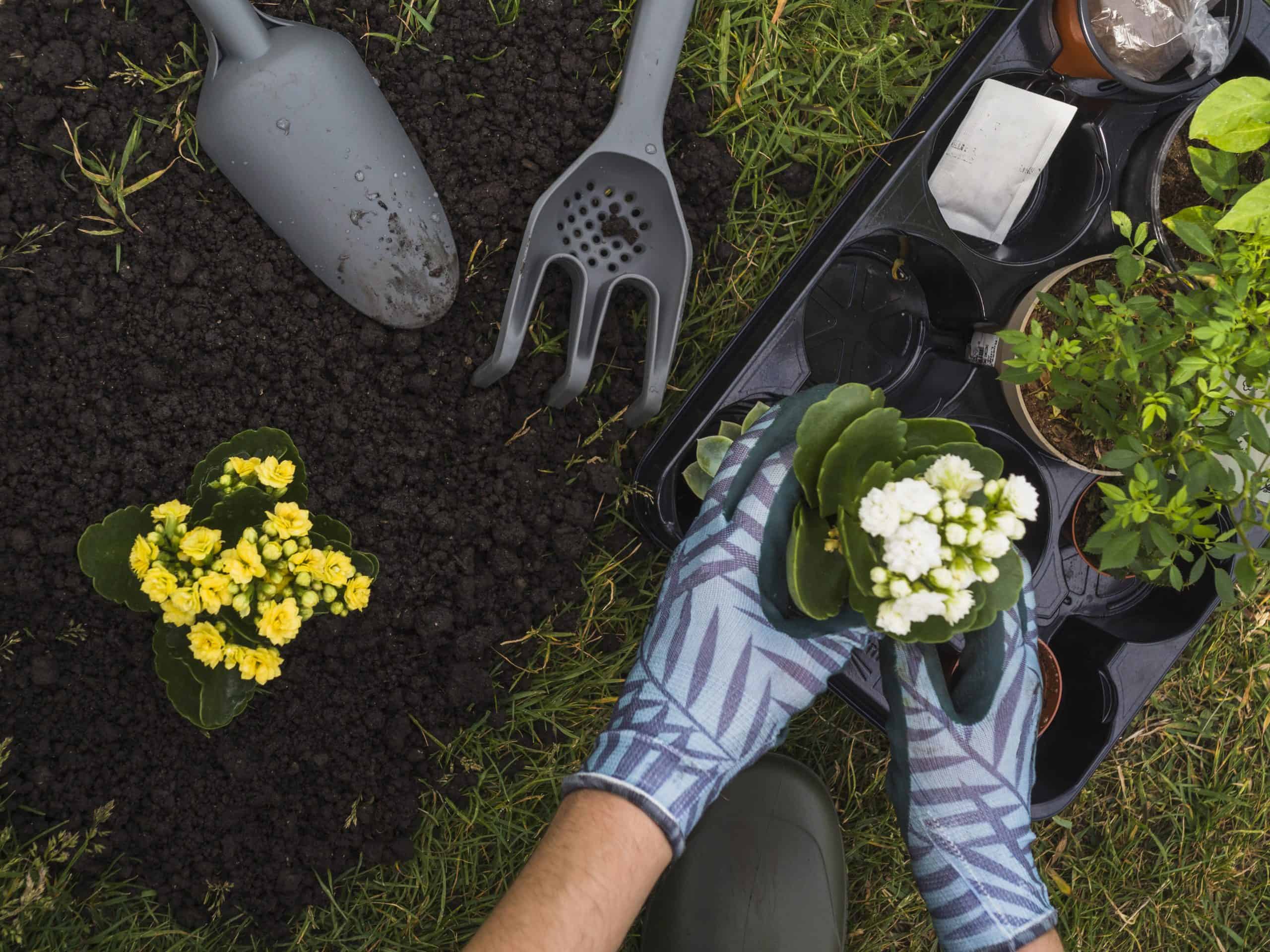 Servicio de jardinería en Alcobendas