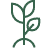 Planta