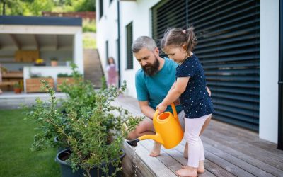 Mantenimiento de jardines en Alcobendas: Claves para un espacio impecable
