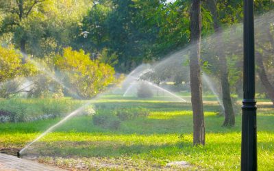 Cómo la instalación de riego automático en La Moraleja puede transformar jardines