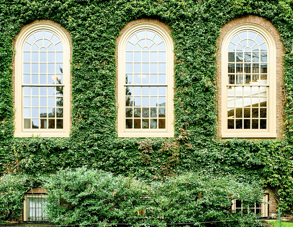 Jardines verticales