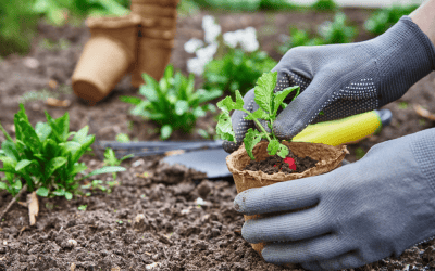 Los secretos de una empresa de jardinería en Alcobendas