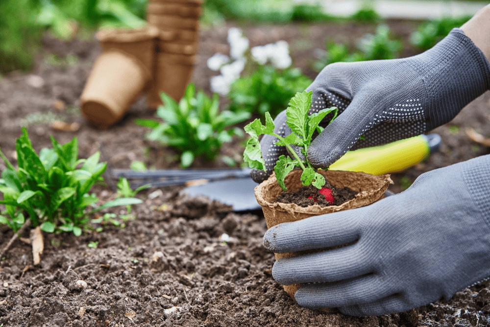 Secretos empresa jardinería Alcobendas