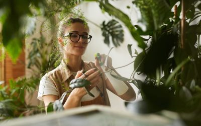 Cómo cuidar plantas: guía y trucos para tener unas plantas más sanas
